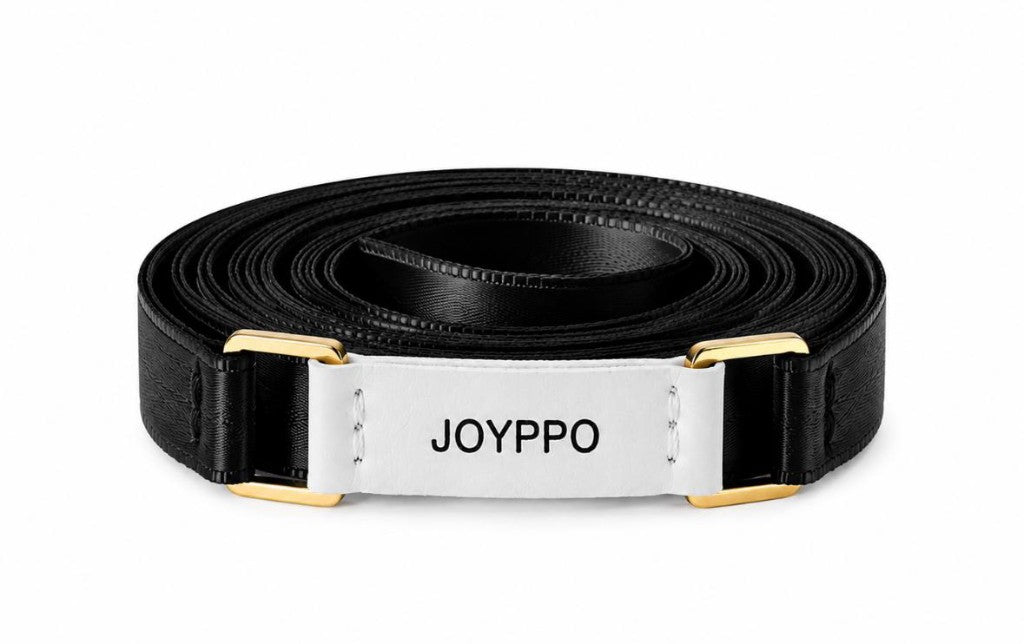 Ceinture noire